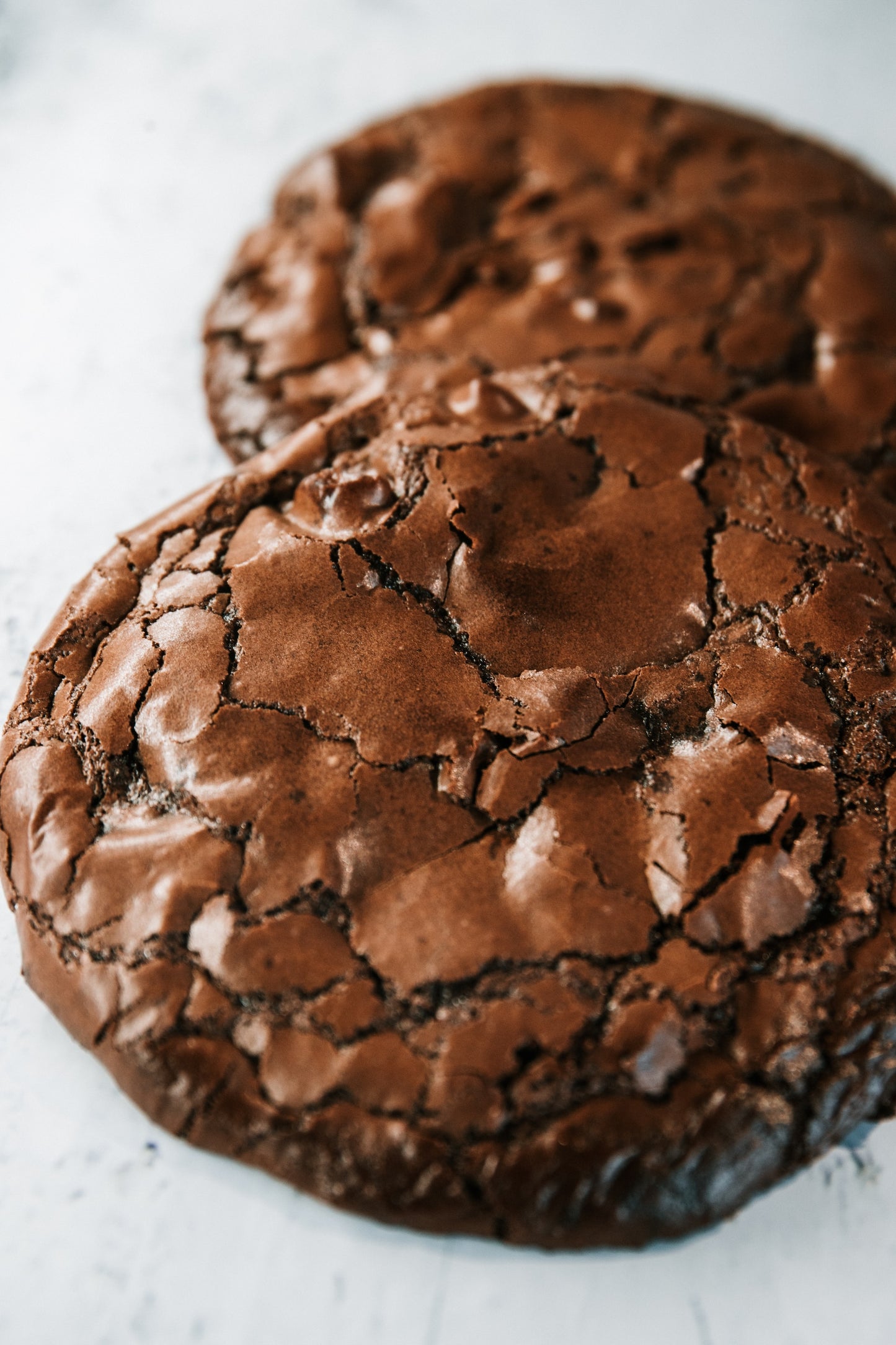 CREAMCOCOA Premium Ecuadorian Cocoa Powder - Dutched