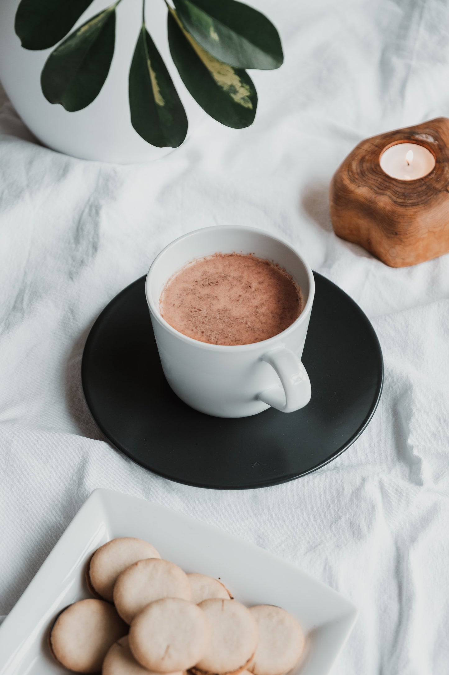 CREAMCOCOA Premium Ecuadorian Cocoa Powder - Dutched